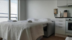 Riverside apartment with french balcony Turku